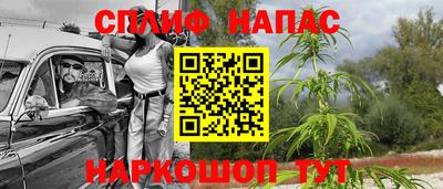 МДПВ Славгород