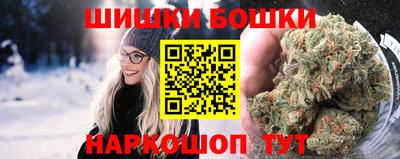 МДПВ Славгород