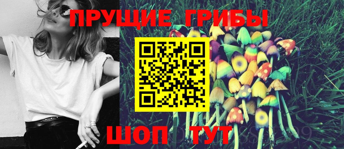 Псилоцибиновые грибы Psilocybine cubensis  Вход с VPN  Прохладный  Псилоцибиновые грибы Cubensis 