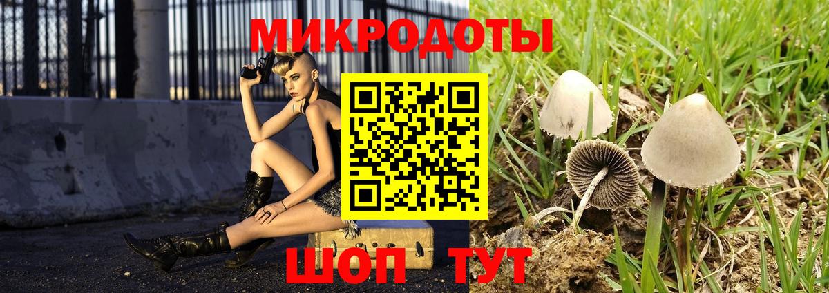 Галлюциногенные грибы Cubensis Прохладный